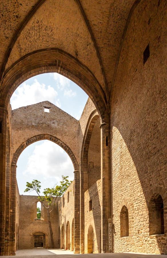Apartment Domus Schiavuzzo パレルモ エクステリア 写真